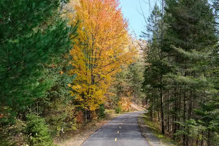 Piste cyclable Le P'tit Train du Nord bordée d'arbres aux couleurs d'automne, à Saint-Jérôme, dans les Laurentides